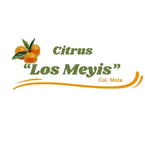 Los Meyis